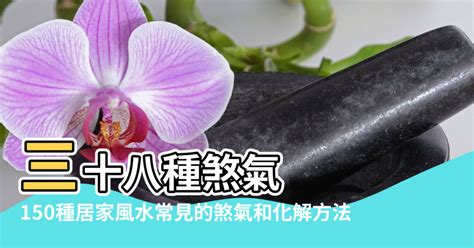 鎮煞意思|【化解煞氣】居家風水煞氣全攻略！120招化解煞氣秘方，助你逢。